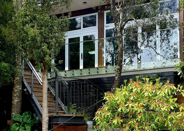 Torbay Tree Tops